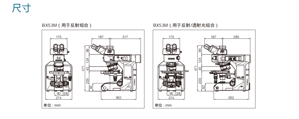 BX尺寸1.png
